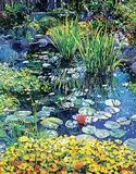 John H. Burrow, Mission Waterscape