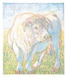 Joseph Fafard, August #PP, 1986, colour etching on paper