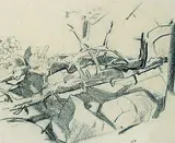 Arthur Lismer, Roches et Racines, Baie Georgienne, charcoal on paper