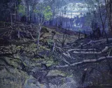 Chris S. Flodberg, Burnt Landscape