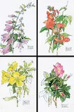 Bruno Bobak, Four Flower Studies