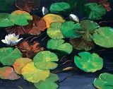 Tinyan Chan, Untitled - Lily Pads, acrylic on canvas