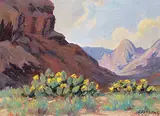 Roland Gissing, Cactus