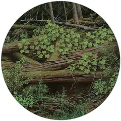 William James Parker, Hunter's Range, 1979, acrylic on wood panel