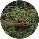 William James Parker, Hunter's Range, 1979, acrylic on wood panel