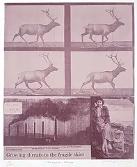Carl Beam, Fragile Skies #195/200, lithograph on paper