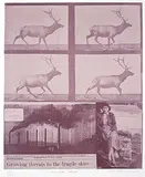 Carl Beam, Fragile Skies #195/200, lithograph on paper