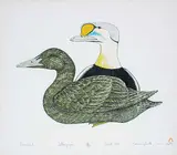 Kananginak Pootoogook, Amaulik [Eider Ducks] #12/50