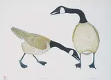 Kananginak Pootoogook, Nirlik [Canada Geese] #12/50
