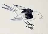 Kananginak Pootoogook, Untitled - Bird