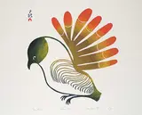 Lucy Qinnuayuak, Sun Bird #15/50