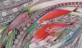 Jeke Viwalu Lagi, Ika Damu [Red Fish Lone Traveler], 2014, watercolour and ink on paper