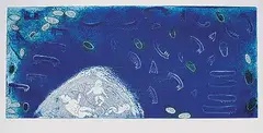 Dennis Nona, Kaiwai [Barnacle] #16/45, 2006, colour etching on paper