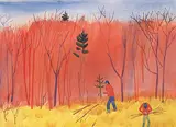 Colin D. Graham, Woodsman