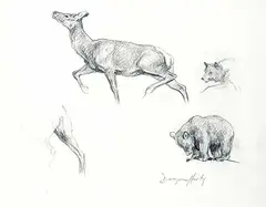 Dwayne Harty, Untitled - Bear and Deer Study, graphite on paper