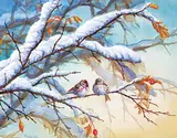 Wee Lee, Two Puff-balls [Common Redpolls], acrylic on silk