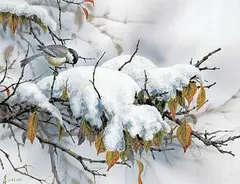 Wee Lee, Four Seasons [Winter Black-Capped Chickadee], acrylic on silk