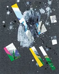 Erik Olson, Chickadee, 2014, oil on fabric