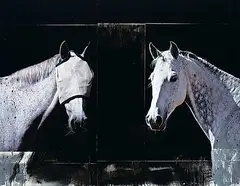Andre Petterson, Dyad, 2009, mixed media on wood panel