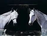 Andre Petterson, Dyad, 2009, mixed media on wood panel