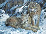 Page Ough, Lynx Pair, 2002, acrylic on canvas