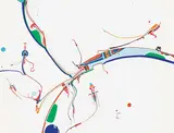 Alex Janvier, Turn Table Bird
