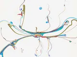 Alex Janvier, Thunderbird Home