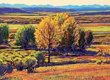 William Duma, Golden Glow, oil on canvas board