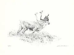Robert Bateman, Woodland Caribou #72/290, lithograph on paper