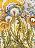 Richard Calver, Dandelion Rejoicing #29/50