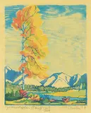 Margaret Shelton, Yellow Poplar, Banff #127/200