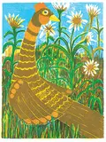 Brown Bird #3/50 by John Harold Thomas Snow, 1979, colour lithograph on paper, sold Sep 2019