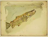 Jack Lee Cowin, Rising Brown #193/300, 1983, colour etching on paper