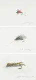 Jack Lee Cowin, Untitled - Three Killer Flies - Caddis Nuymph / Black Maribou Leach / Muddler Minnow, 1984, watercolour on paper