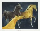 Gatja Helgort Rothe, Morgans #25/150, colour etching on paper