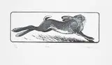 Colin See Paynton, Hare #121/150, wood engraving on paper