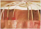 Joane Cardinal-Schubert, Sweet Grass Hills Mosaic I