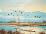Duncan MacKinnon Crockford, Untitled - Hunter's Delight