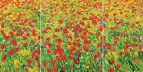 Liliane Fournier, Untitled - Poppies, oil on canvas