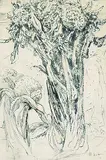 Arthur Lismer, Twisted Tree, 1932, ink on paper