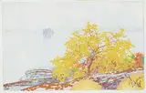 Walter J. Phillips, Wild Cherry #6, 1927, colour wood block on paper
