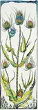 Richard Calver, Teasel #9/15