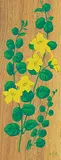 A. J. Casson, Moneywort, colour silkscreen on wood veneer