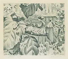 Ernest Friedrich Lindner, Sunflowers #5/9, 1958, etching on paper