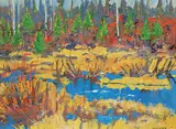 John Davenall Turner, Beaver Dam