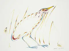Edward Cobiness, Untitled - American Bittern, 1982, watercolour on paper