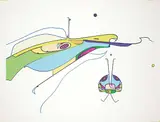Alex Janvier, Eagle Insect #20/49, 1975, colour silkscreen on paper