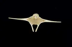 Josephee Kakee, Untitled - Owl Riding on the Wind, bone carving