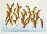 Kananginak Pootoogook, Arctic Murres #34/50