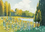 James Blomfield, Summer Wildflowers, watercolour on paper